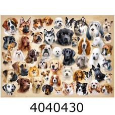 Пазли 200 ел. Castorland  