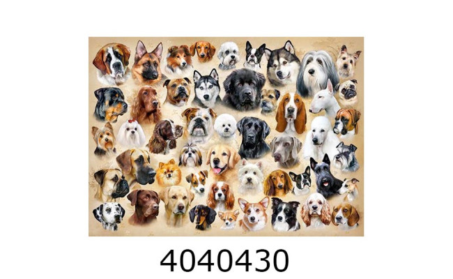 Пазли 200 ел. Castorland  