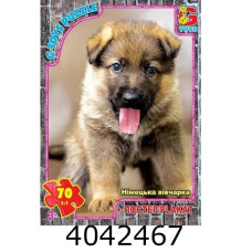 Пазли 70 ел. midi G-Toys ліцензія 