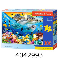 Пазли 100 ел. Castorland  