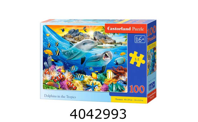 Пазли 100 ел. Castorland  