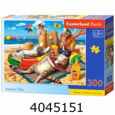 Пазли 300 ел. Castorland 