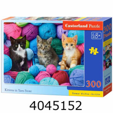 Пазли 300 ел. Castorland 