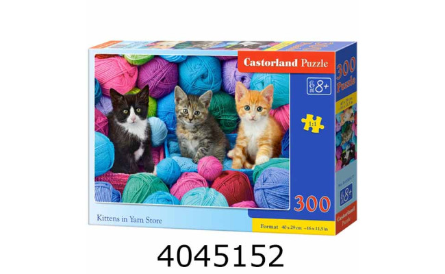 Пазли 300 ел. Castorland 