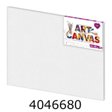 Полотно 40*50см Danko toys + (10) AC-50*40