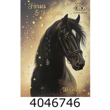 Щоденник шк. поролон./сендвіч обкл. ZiBi KIDS Line ROMANTIC В5 48 арк. (10) ZB.13817