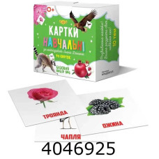 Картки навчальні за методикою Глена Домана. Базовий набор №6 МКД0013