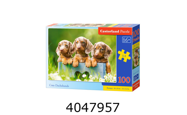 Пазли 100 ел. Castorland  