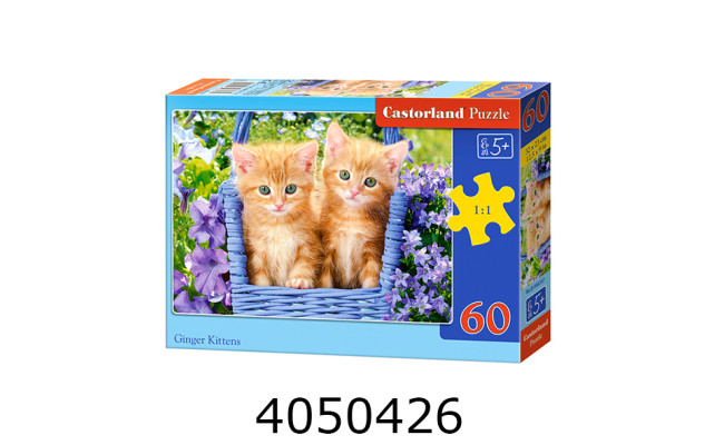 Пазли 60 ел. Castorland 
