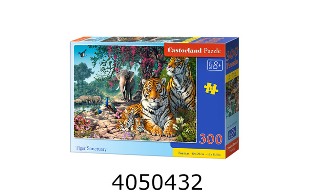 Пазли 300 ел. Castorland 