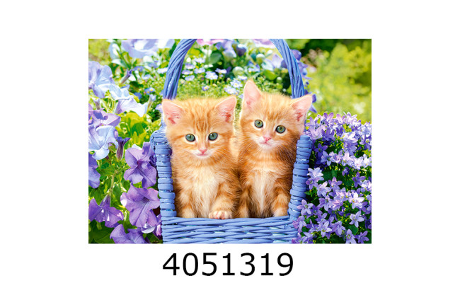 Пазли 70 ел. Castorland  