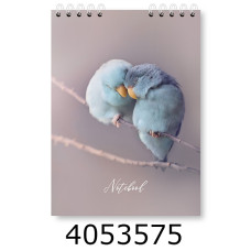 Блокнот на спір. зверху А5 48 арк. обкл. картон. кл. серія 