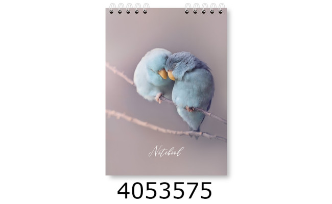 Блокнот на спір. зверху А5 48 арк. обкл. картон. кл. серія 