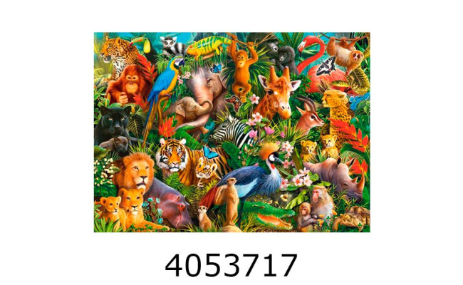 Пазли 300 ел. Castorland 