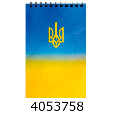 Блокнот на спір. зверху А6 48 арк. картон. обкл. кл. 