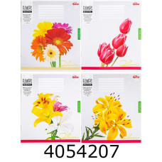 Зошит шк. 36 арк. кл. Мрії збуваються 