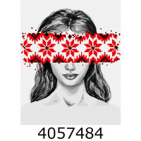Картина по номерам 40*50см патріот. 