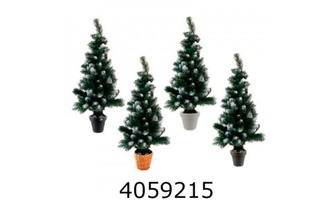 Ялинка в кругл. горщику 70см Королева білі кінчики мікс