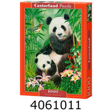 Пазли 1000 ел. Castorland 