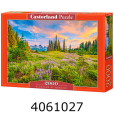 Пазли 2000 ел. Castorland 