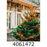 Картина по номерам 40*50см новорічна Передноворічна красуня Brushme BS52610 н/з Картина по номерам 40*50см новорічна Передноворічна красуня Brushme BS52610 н/з