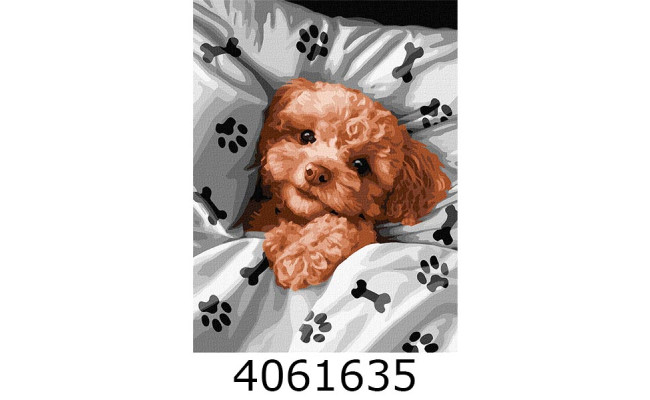 Картина по номерам 30*40см 