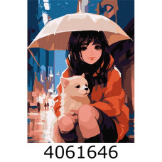 Картина по номерам 30*40см 