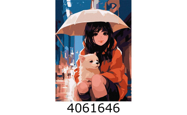 Картина по номерам 30*40см 