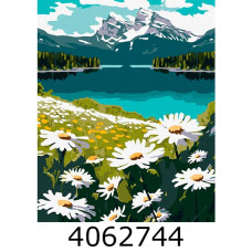 Картина по номерам 40*50см 