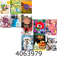 Ф/а 96ф. 10*15см Super закліпка (48) PP4696