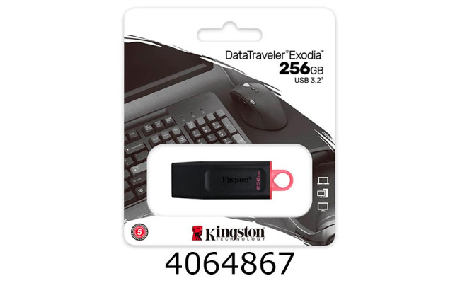 Flash USB  256Gb Kingston DT Exodia Gen1