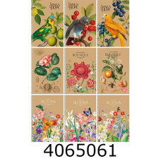 Блокнот на спір. А5 96 арк. кл. Школярик Student (3/54) A5-SC-096-6123K