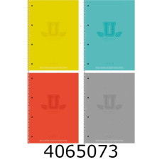 Канц. книга на спір. 80 арк. кл. Школярик 70г/м2, картон, мат. ламінація, перфор. Student (4/40) A4-080-6526K