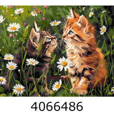 Картина по номерам 40*50см 