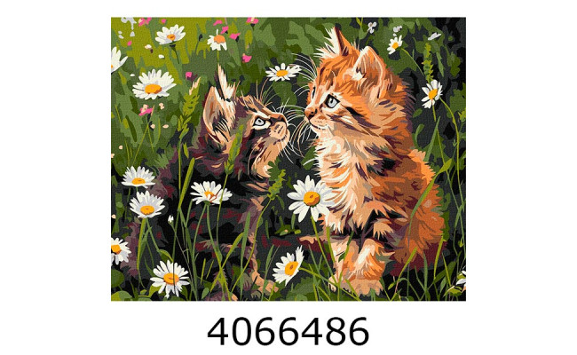 Картина по номерам 40*50см 