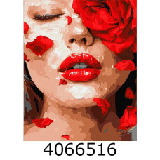 Картина по номерам 40*50см 