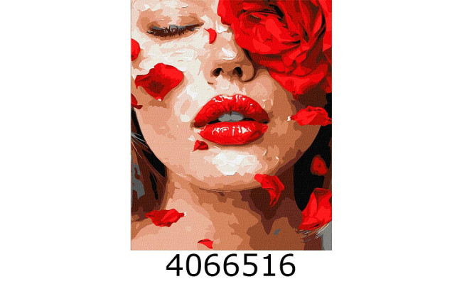 Картина по номерам 40*50см 