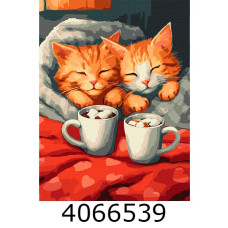 Картина по номерам 30*40см 