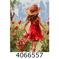 Картина по номерам 30*40см 