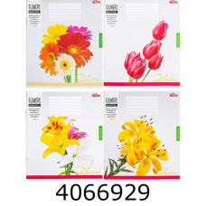 Зошит шк. 24 арк. лін. Мрії збуваються Зошит шк. 24 арк. лін. Мрії збуваються