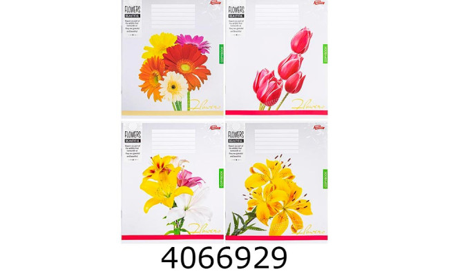 Зошит шк. 24 арк. лін. Мрії збуваються 