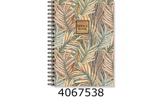 Канц. книга на спір. 200 арк. обкл. тв.картон. кл. серія 