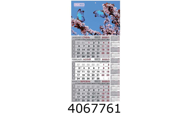 Календар 2027 настін. кварт. Buromax (1 пружина) квіти (20) BM.2106.4