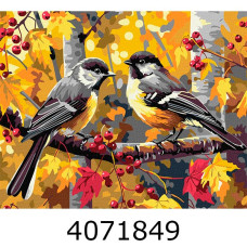 Картина по номерам 40*50см Птахи 
