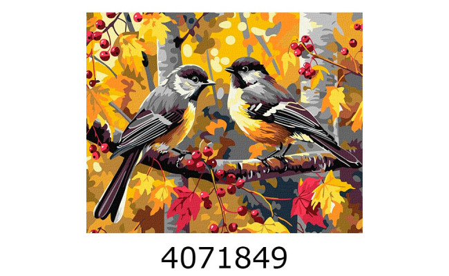 Картина по номерам 40*50см Птахи 