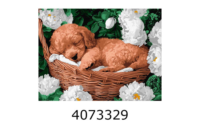 Картина по номерам 30*40см 