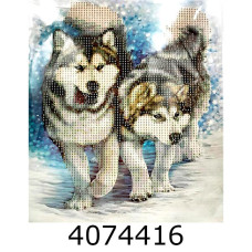 Алмазна мозаїка 21*25 