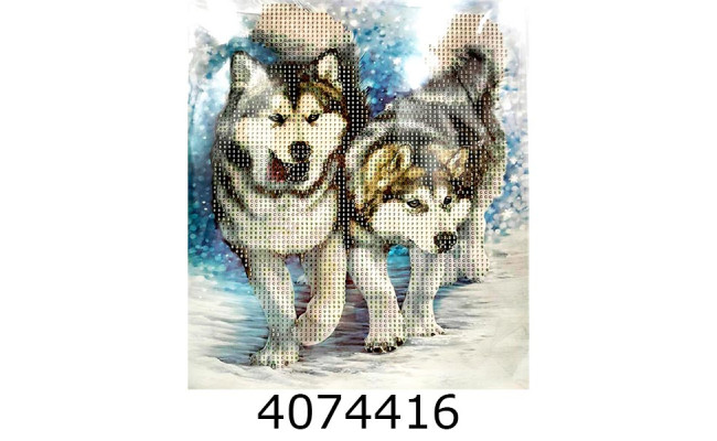 Алмазна мозаїка 21*25 