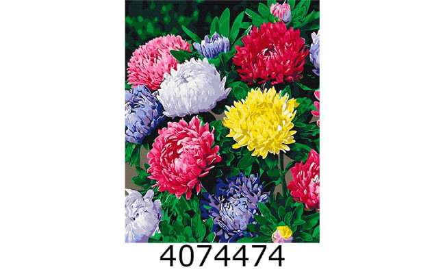 Картина по номерам 40*50см Різнобарвні айстри Brushme BS54120