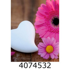 Ф/а 200ф. 10*15см PP-46200 Daisy (ромашка)(24)